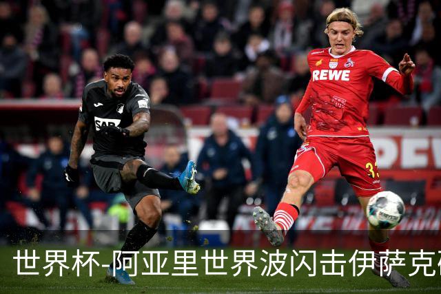 世界杯-阿亚里世界波闪击伊萨克破门 半场瑞典2-1突尼斯