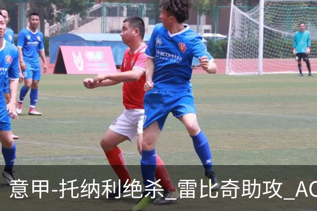 意甲-托纳利绝杀 雷比奇助攻 AC米兰2-1夺3连胜